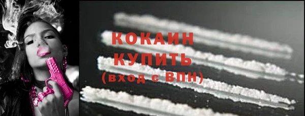 винт Горняк